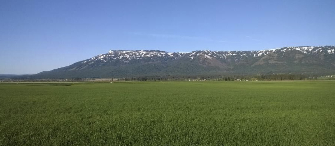 Home Official City of Imbler site